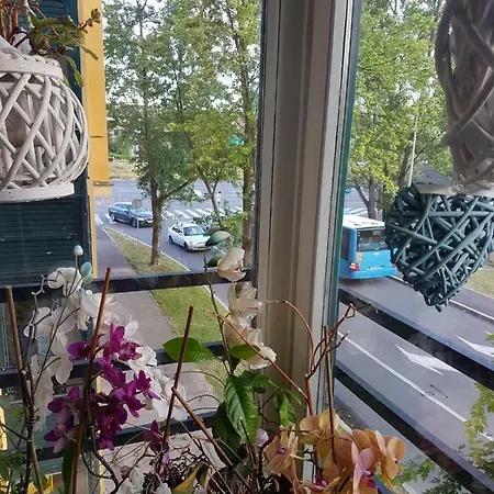 Apartment Zapad Vrapce